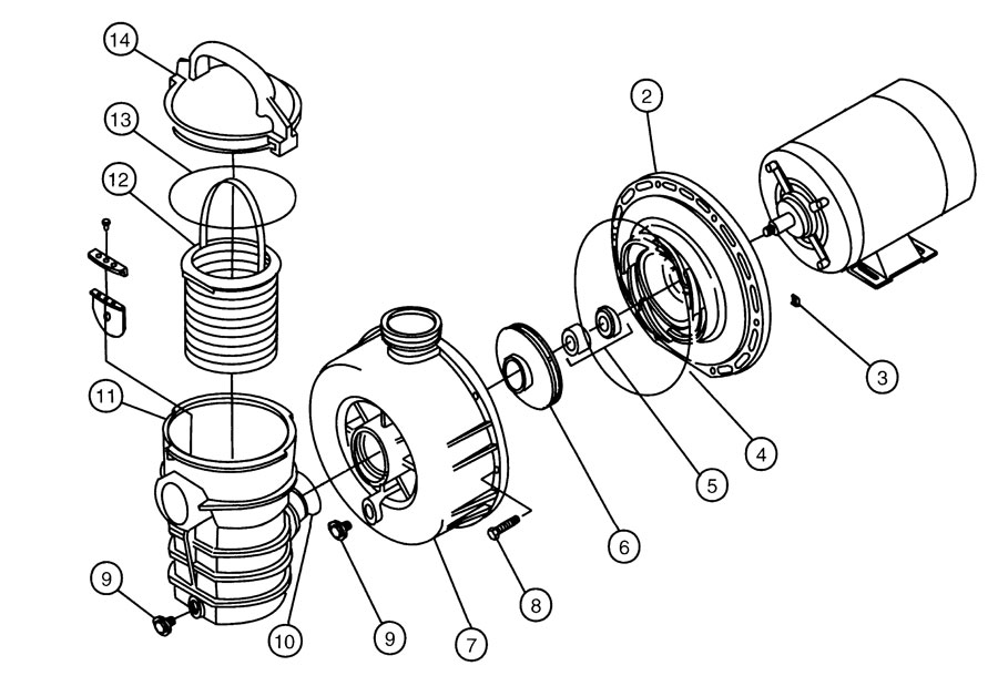 Pool Pumps Pentair PacFab Dynamo Pump